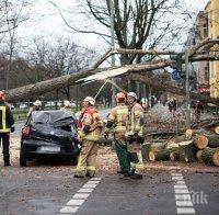 7 жертви на урагана 