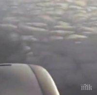 Разтърсващо! Вижте последните секунди на фаталния самолет, чуйте как хората крещят от ужас! (видео)