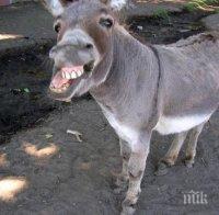 Вижте как да се шегувате с различните зодии по случай първи април