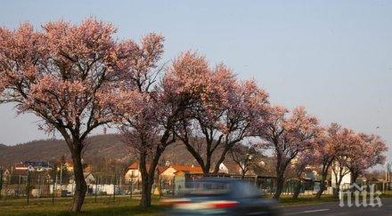 предимно слънчево хладно