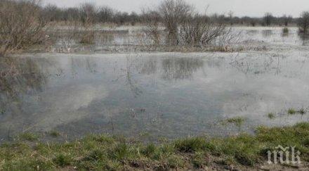 отводняват 000 дка гулянци