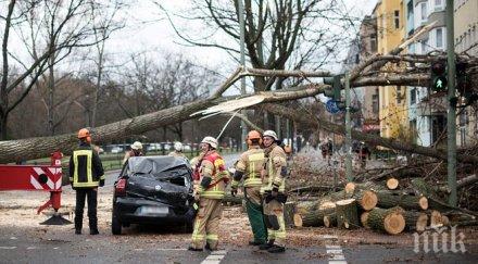 жертви урагана никлас германия