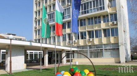 светещи яйца димитровград