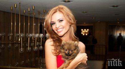 драма кученцето преслава