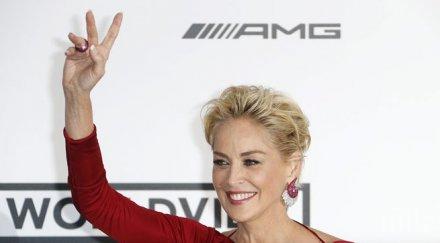 шарън стоун стана лице дерма бранд