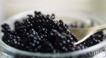 конфискуваха 100 черен хайвер москва