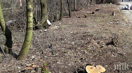 циганите превърнаха западен парк пустиня