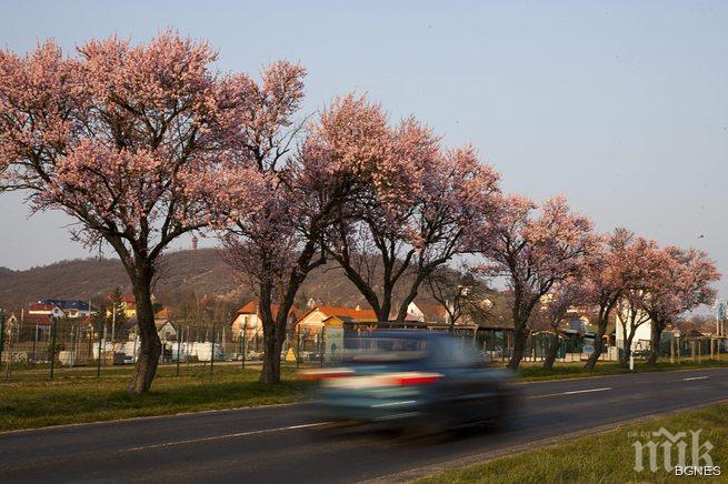 Предимно слънчево, но по-хладно