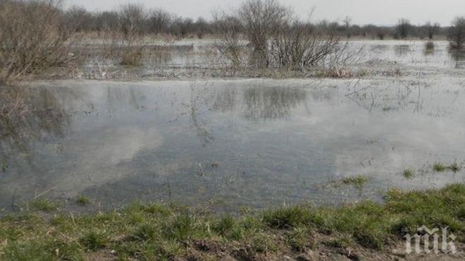 Отводняват 20 000 дка в Гулянци