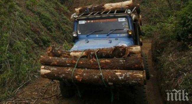 Протест пред НС- Не на дървената мафия