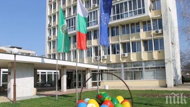 Светещи яйца в Димитровград