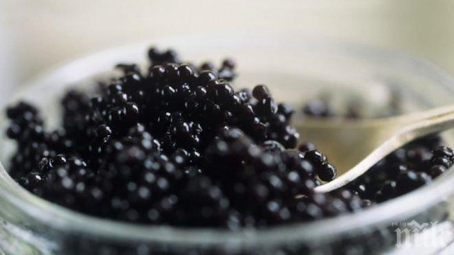 Конфискуваха 100 кг черен хайвер в Москва