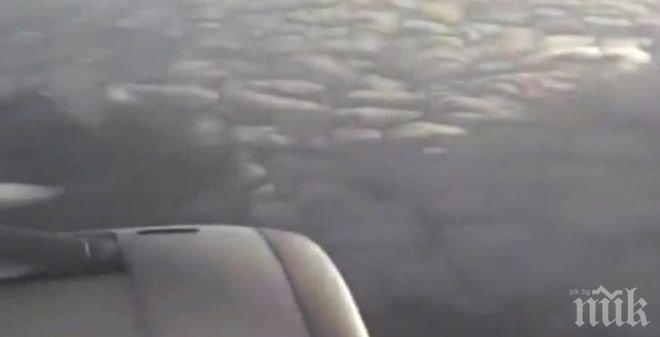 Франция: Записите от А320 да се предадат