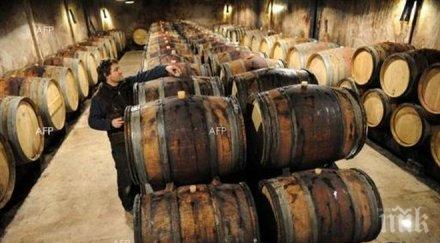 бургаският фестивал виното събра добрите български вина