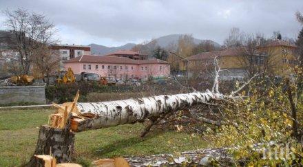 жандармерия пази горите