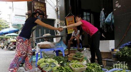 яденето спанак всеки ден подмладява мозъка
