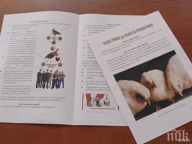 108 мъртви пеликани в Румъния, в Сребърна открит още един