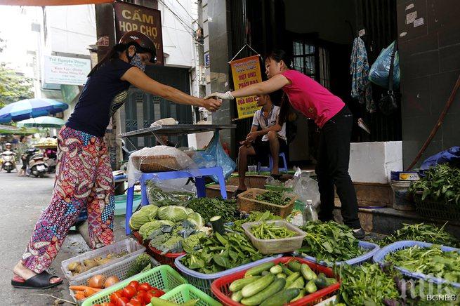 Яденето на спанак всеки ден подмладява мозъка с 11 г. 