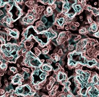 Бактерия причинява затлъстяването