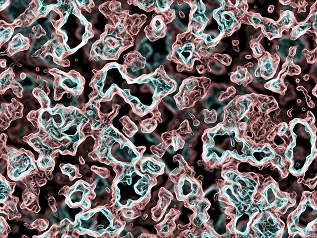 Бактерия причинява затлъстяването