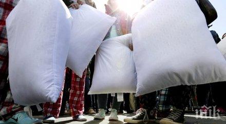 стотици биха възглавници центъра йорк