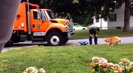 реши заснеме реакцията кучето вижда човека събира боклука