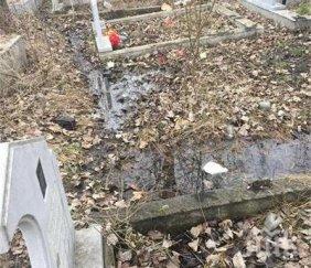 гробищата перник плуват язовир