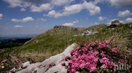 дирекцията природен парк българка нов ръководител