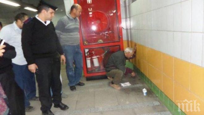 Котка прекара 5 години в стена на метрото в Кайро (снимка+видео)