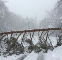 Зимата продължава! Утре пак облаци, дъжд и сняг! На Великден обаче ще ни грее слънце