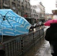 Внимание! Опасен бурен вятър в Източна България утре