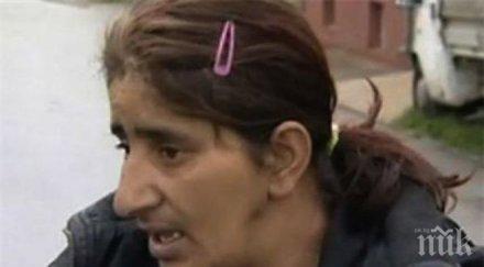 оцеляла катастрофиралия камион върбица гълъби летяхме