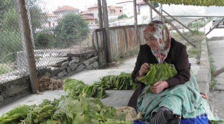 държавна помощ тютюна 2020