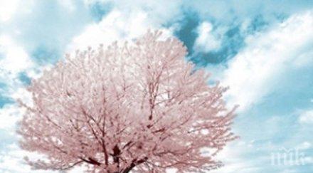 студент медицина грабна награда фотография