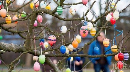 калифорния опита постави рекорд великденски яйца