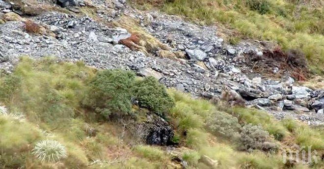 Може би ти прилича на обикновен хълм, гледай продължително време и ще видиш какво се крие в него...