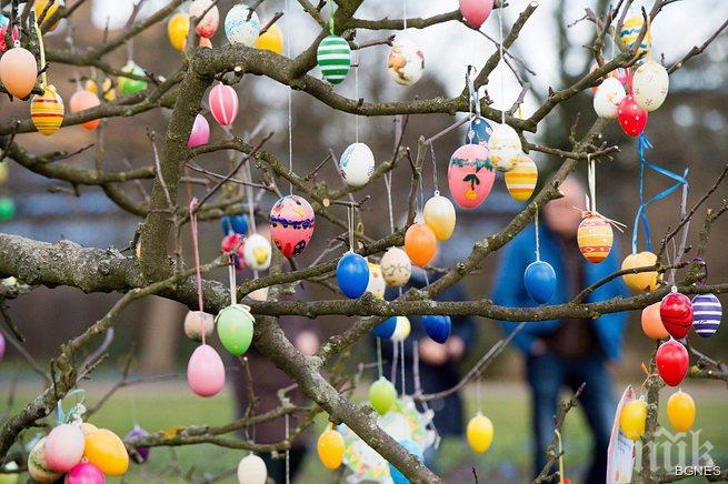 Калифорния се опита да постави рекорд с великденски яйца