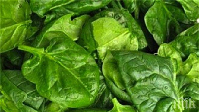 Яденето на листни зеленчуци подмладява мозъка с 11 години