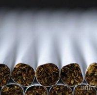 Плевенски полицаи иззеха над 11 000 къса контрабандни цигари 
