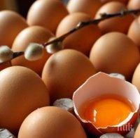 Шеф на птицекомбинат: Не се подвеждайте, у нас не се предлагат бели яйца