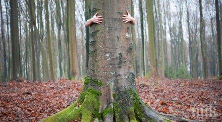 варненци спасиха 888 дървета изсичане