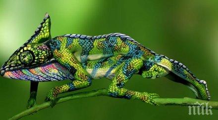 хамелион всъщност изобщо никакъв хамелион идеята крие фантастична