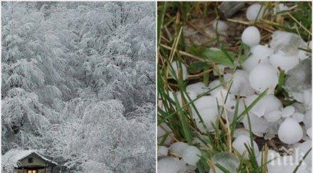 градушка грах удари плевен