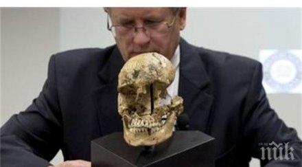 зловещо българия имало секта канибали