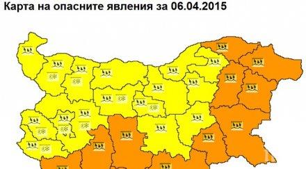 оранжев код източна българия