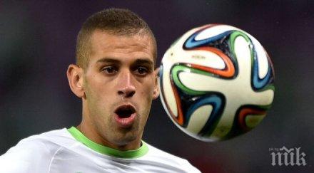 шалке вади млн голмайстора спортинг