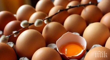 шеф птицекомбинат подвеждайте нас предлагат бели яйца