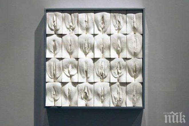 Джейми Макартни прави скулптура от стотици вагини