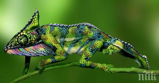 Този хамелион, всъщност изобщо не е никакъв хамелион. А идеята, която се крие? Фантастична!