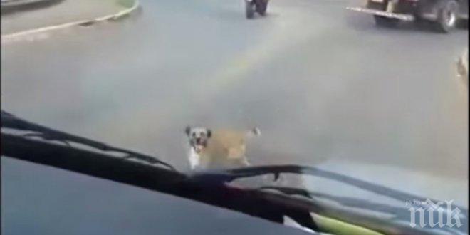 Когато парамедиците поглеждат в огледалото за обратно виждане, губят ума и дума!